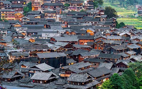 乐东乡村别墅的靠谱依赖